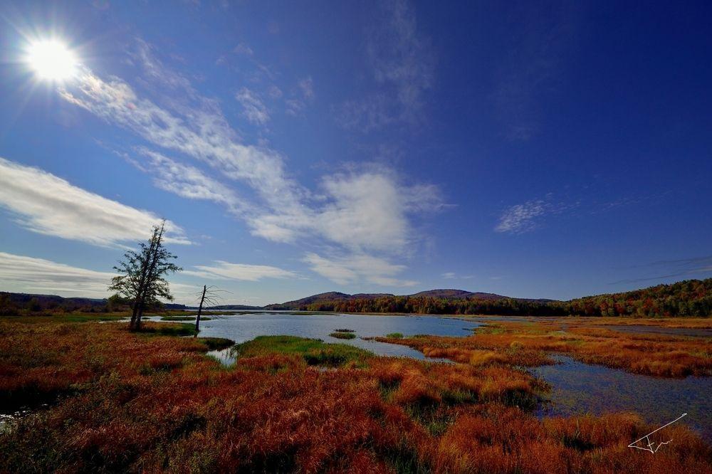 Le Gite Du Hu-Art Québec Dış mekan fotoğraf